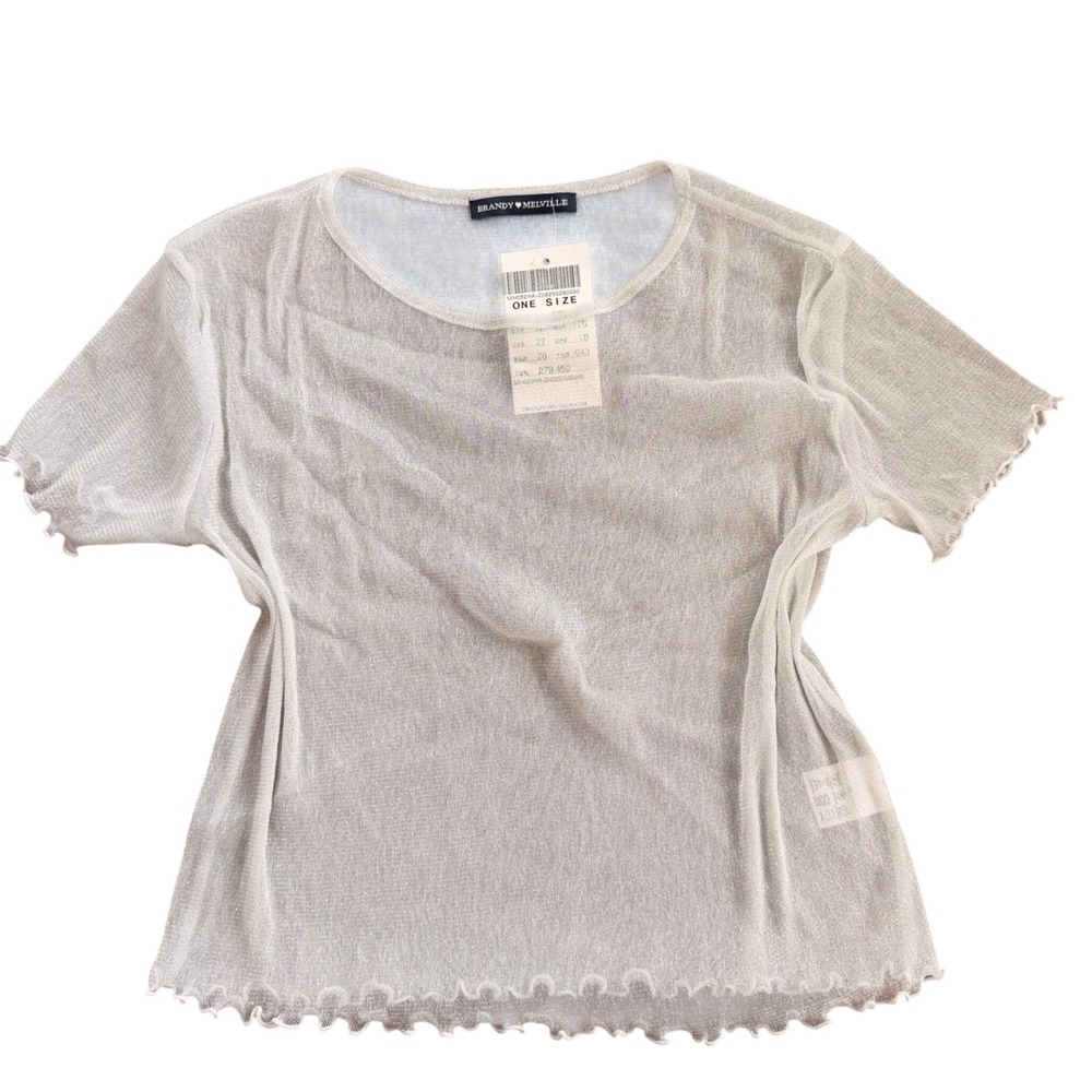 Brandy Melville Silver Metallic Sheer Mesh Lettuce Trim Top OSFA MH052NA-Z062‎
